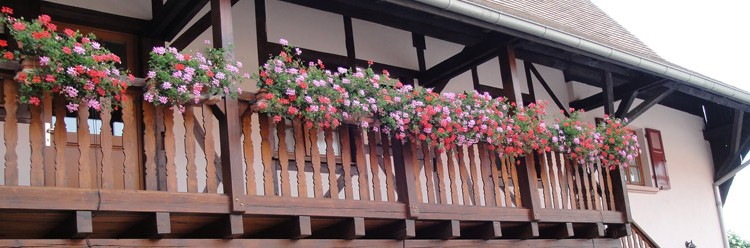 Balcon Gîte- Vins Alsace Froehlich - Haut-Rhin Ostheim