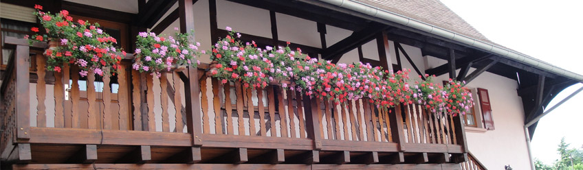 Balcon Gîte- Vins Alsace Froehlich - Haut-Rhin Ostheim