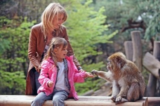 Montagne des singes - Vins Alsace Froehlich - Haut-Rhin Ostheim